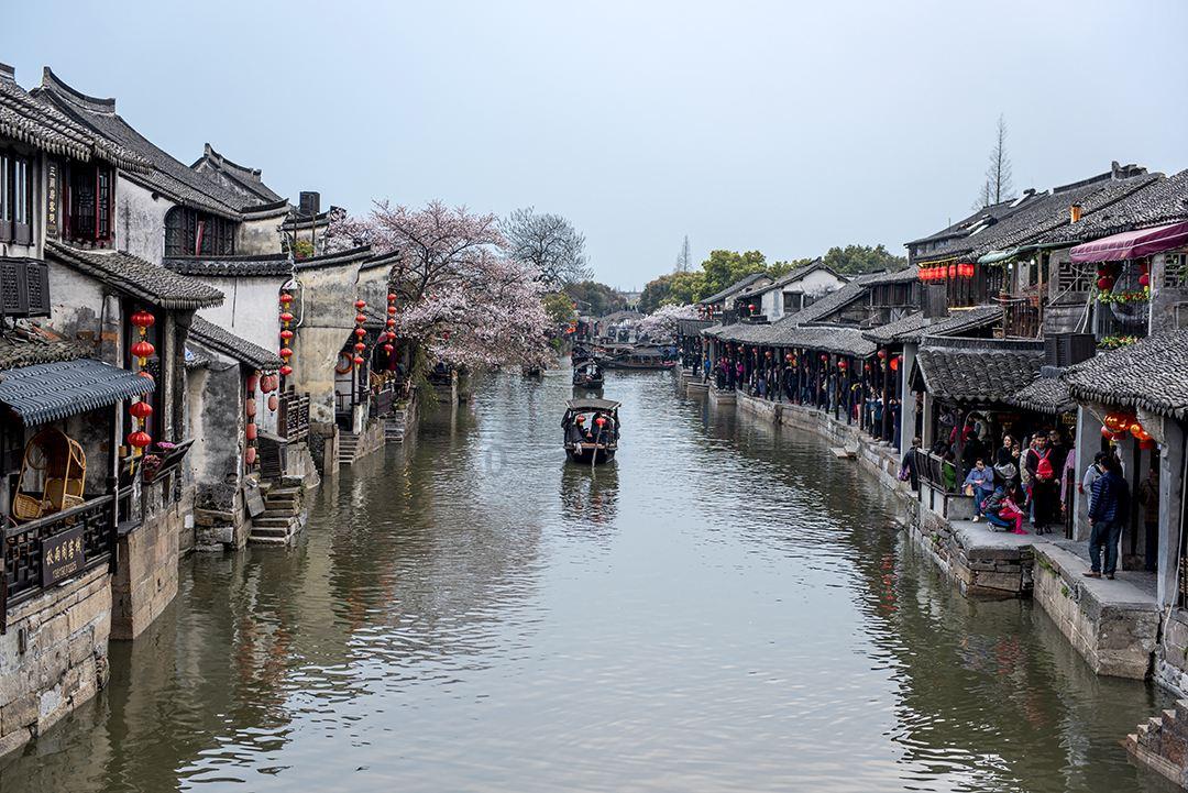 逃离金刚鹦鹉森林